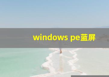 windows pe蓝屏